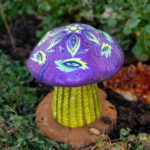 Spayaski hand painted mushroom art-24